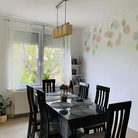 Hortenzia Vendeghaz Mor