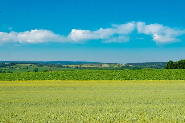 Hortenzia Vendeghaz Διαμέρισμα